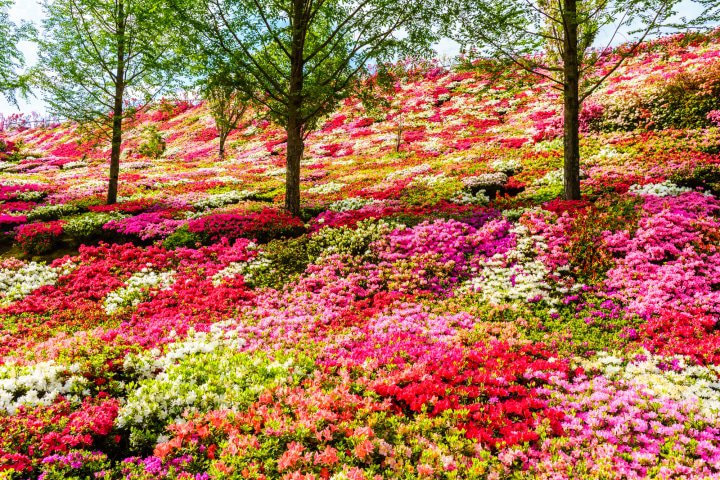 长崎观光地详细指南！2023年最新版精选24处旅游景点