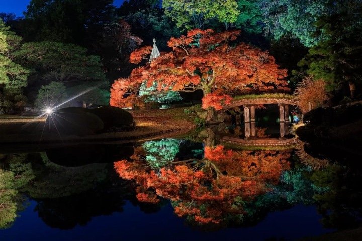 November - December Weather in Tokyo: What to Wear in 2023