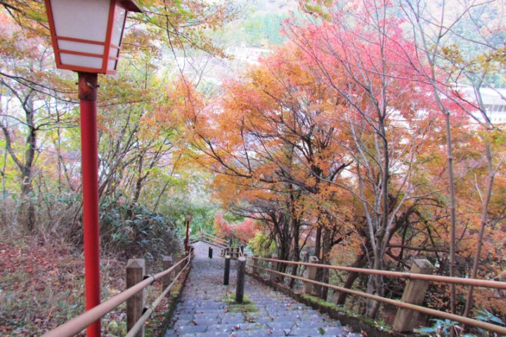 【兵庫】湯村温泉のおすすめ紅葉スポットを紹介。温泉と美食を堪能しよう!