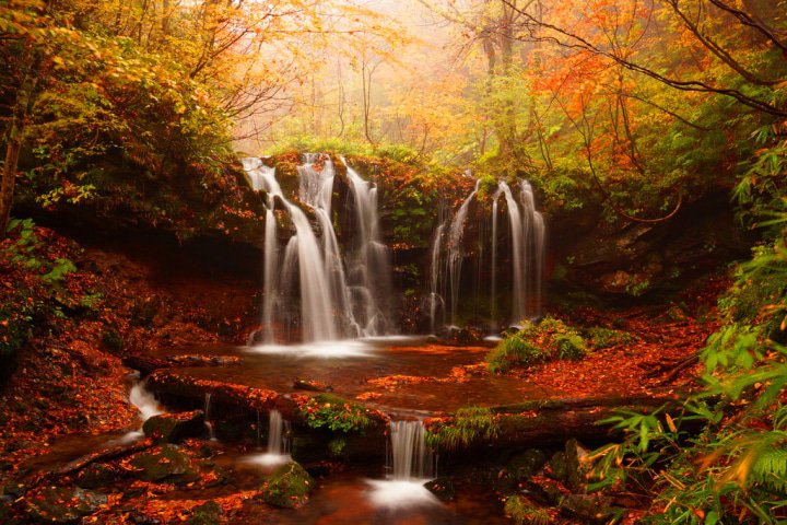 【兵庫】湯村温泉のおすすめ紅葉スポットを紹介。温泉と美食を堪能しよう!