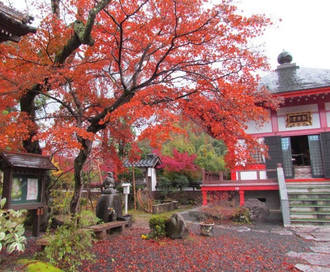 【兵庫】湯村温泉のおすすめ紅葉スポットを紹介。温泉と美食を堪能しよう!