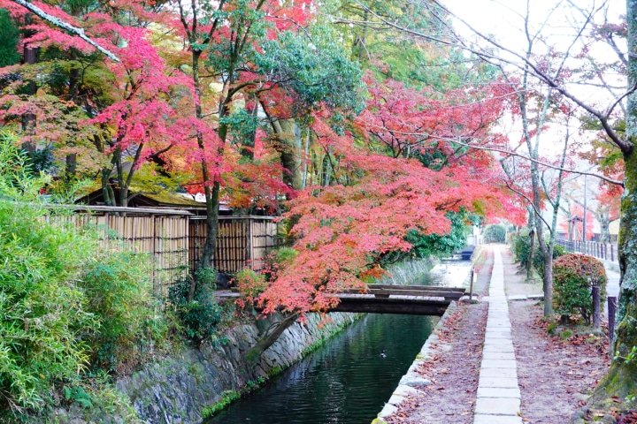 [2026]京都赏枫五大最佳地点，入住Hotel Noum OSAKA