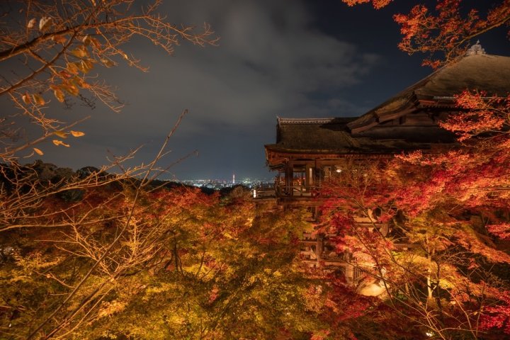 [2026]京都赏枫五大最佳地点，入住Hotel Noum OSAKA
