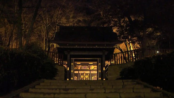 活动和节日（十一月）