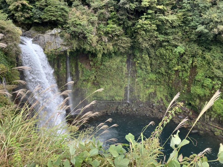 白絲瀑布、音留瀑布、河口湖周邊的觀光景點資訊。