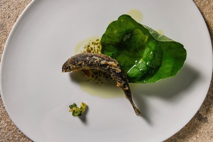 【伊豆 美食】伊豆の恵みとシェフの技が生む、一皿一皿の芸術作品 | LOQUAT西伊豆