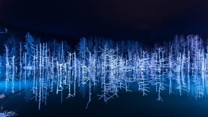 7 of the Best Winter Activities and Tours to do in Japan