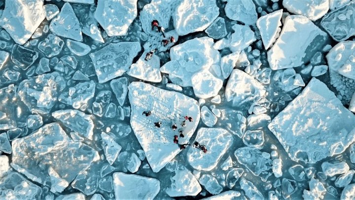 7 of the Best Winter Activities and Tours to do in Japan