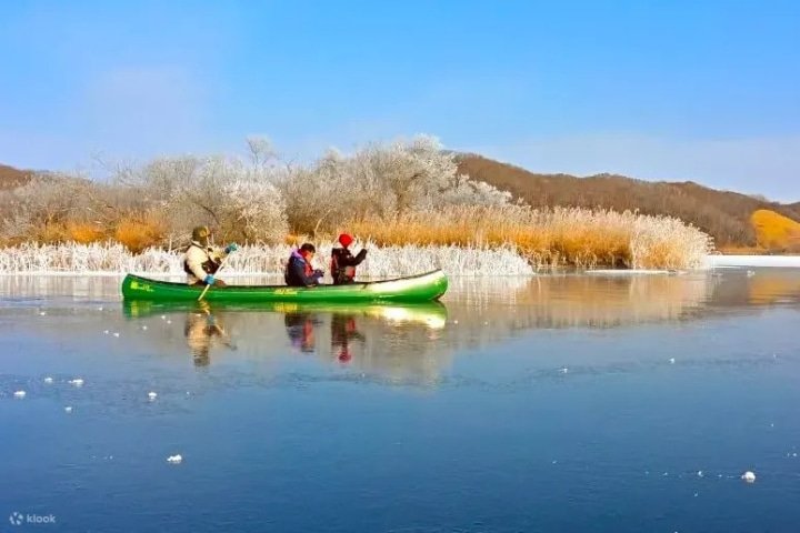 7 of the Best Winter Activities and Tours to do in Japan