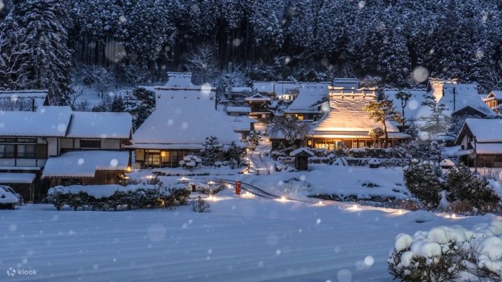 7 of the Best Winter Activities and Tours to do in Japan