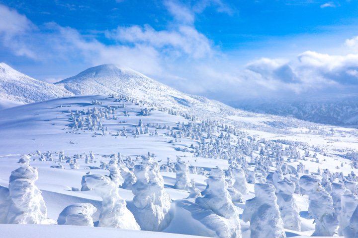 7 of the Best Winter Activities and Tours to do in Japan