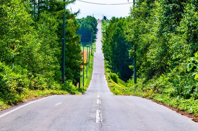 旭川推薦景點6選—旭山動物園、旭嶽、上野農場等
