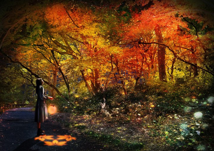 NAKED紅葉新宿御苑2023