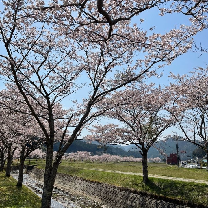 Five architectural beauties of Satoyama Hotel Kanene Tamba