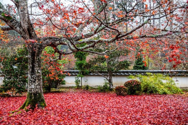 Five architectural beauties of Satoyama Hotel Kanene Tamba