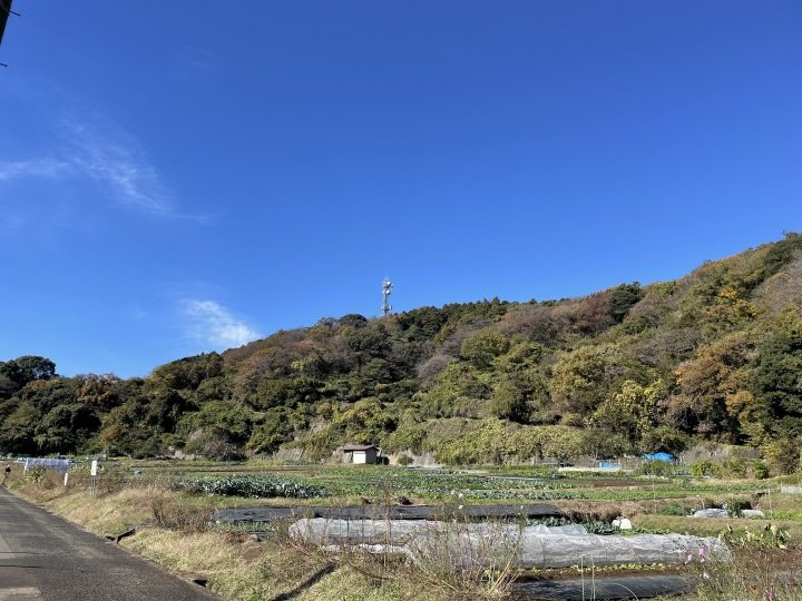 겨울 야채의 수확 체험과 튀김, 주먹밥의 점심 요코하마 빙취자에서