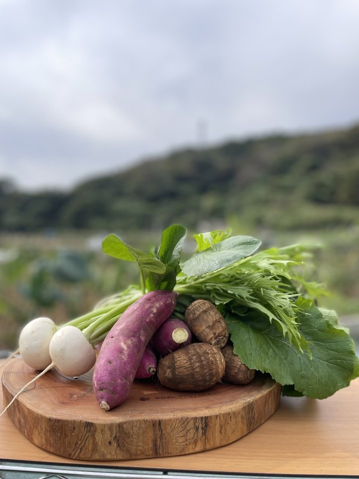 겨울 야채의 수확 체험과 튀김, 주먹밥의 점심 요코하마 빙취자에서