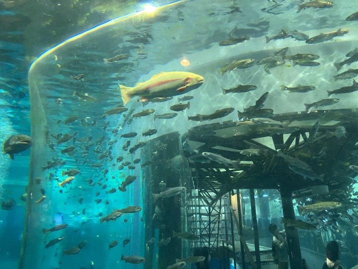 [山梨/忍野]鱼类公园（富士游水佐藤水族馆）