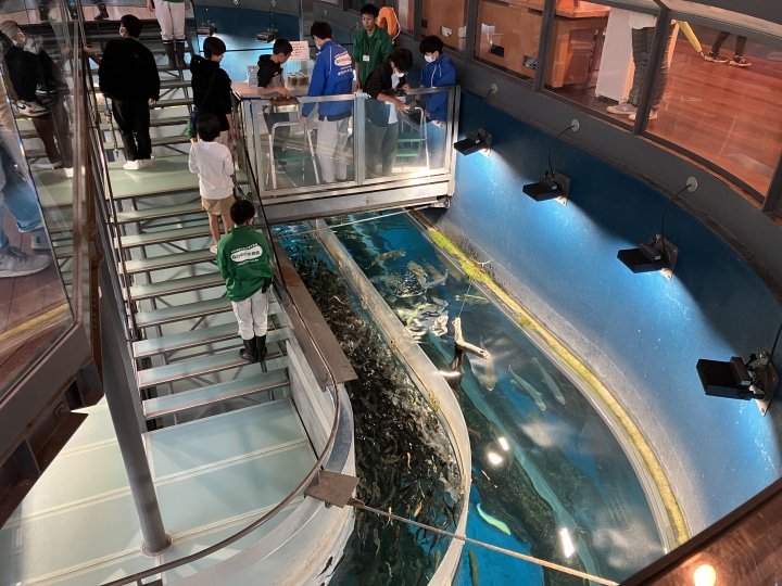 [山梨/忍野]鱼类公园（富士游水佐藤水族馆）