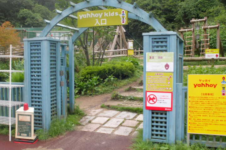 【고베시】 대자연 속에서 몸을 움직여 놀아 다닐 것 같다! 일본 최대급의 「롯코산 운동 공원 GREENIA」