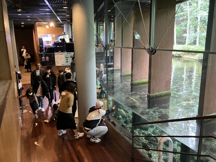 [山梨/忍野]鱼类公园（富士游水佐藤水族馆）