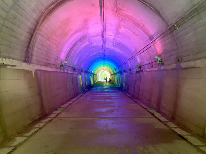 [Kobe City] Perfect for families! Enjoy the healing nature of Kobe City Forest Botanical Garden