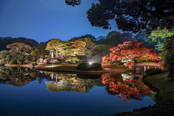 Fall 2023 Edition: Travel Tokyo on Your Star Sign!