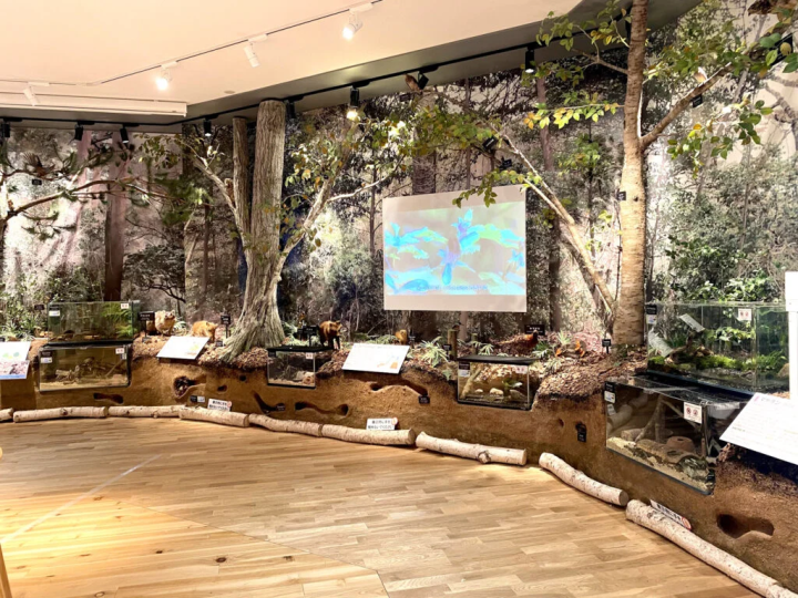 [Kobe City] Perfect for families! Enjoy the healing nature of Kobe City Forest Botanical Garden