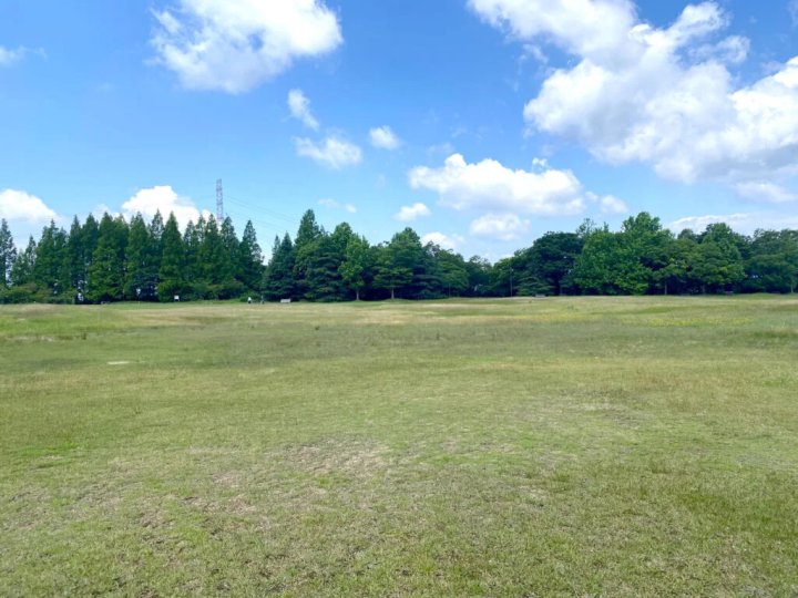 [Kobe City] Perfect for families! Enjoy the healing nature of Kobe City Forest Botanical Garden