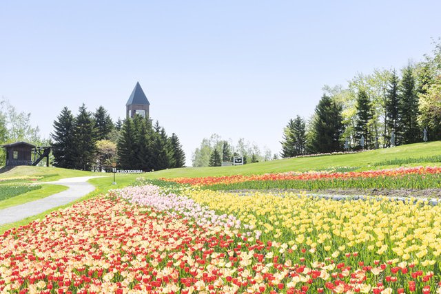 札幌四季都美麗!10個札幌深度美食觀光景點讓你大喊札幌太好玩!
