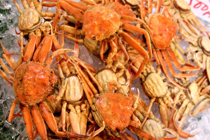 [Hyogo Tajima] Enjoy Kasumi's fantastic crab "Shibayama GOLD", a delicious winter delicacy in Japan!