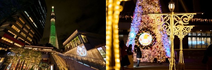 Winter Illuminations in Tokyo
