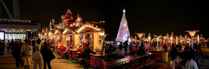 Winter Illuminations in Tokyo