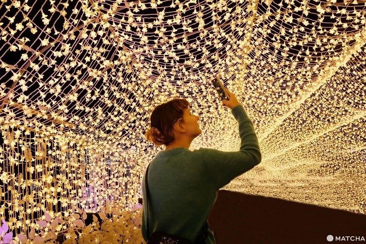 Winter Illuminations in Tokyo