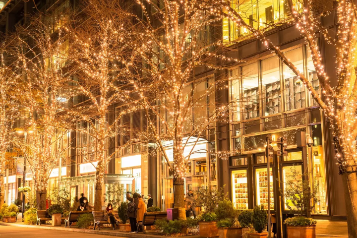 Winter Illuminations at Tokyo Station