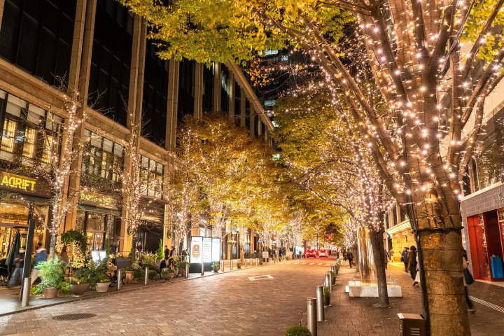 Winter Illuminations at Tokyo Station