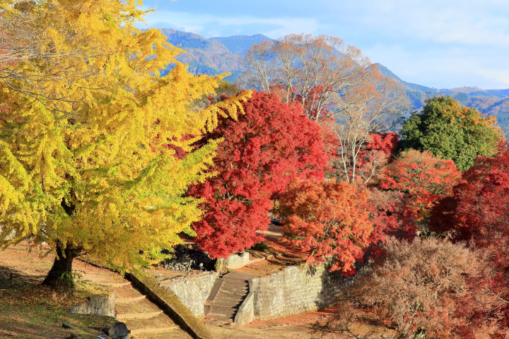 Takeda Castle Ruins