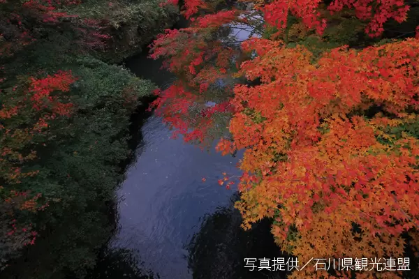 【石川/富山/福井】石川县的赏枫景点｜2023年版