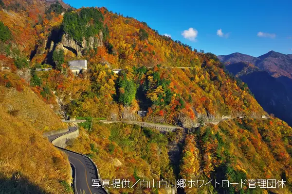 【石川/富山/福井】石川县的赏枫景点｜2023年版