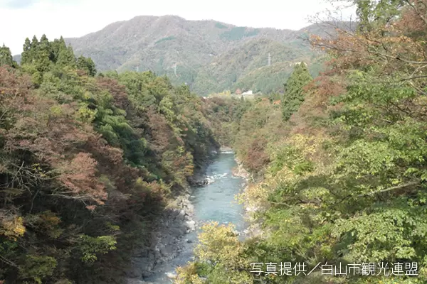 【石川/富山/福井】石川县的赏枫景点｜2023年版
