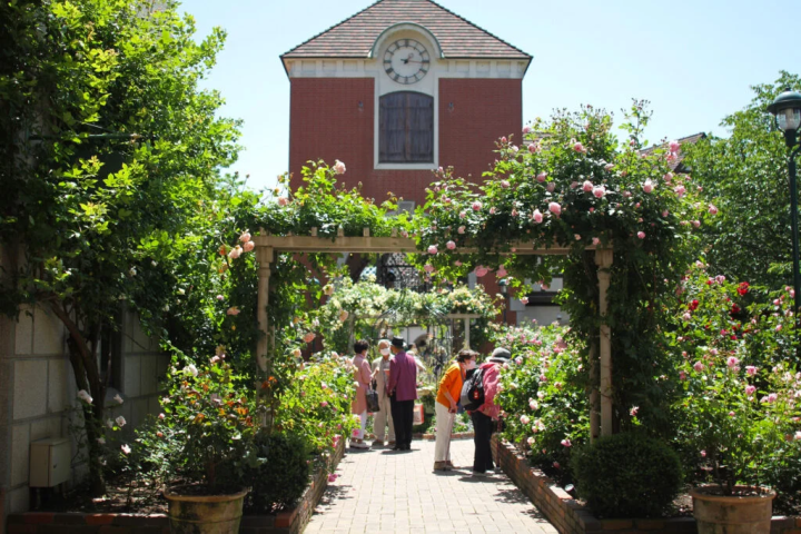 옷감 허브 정원 