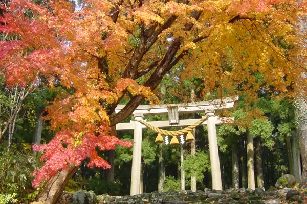 【石川/富山/福井】石川县的赏枫景点｜2023年版