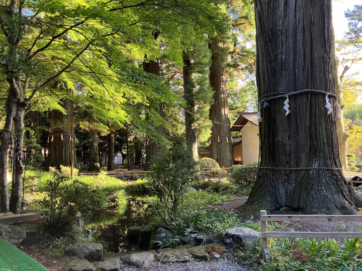 【야마나시·가와구치코】 조용히 마음을 깨끗하게 하고 싶은 사람에게. 가와구치 아사마 신사