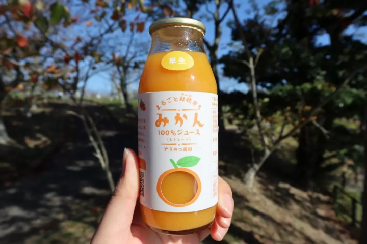 山口に来たら買うべき！おすすめお土産７選（外郎、萩焼、山焼きだんごなど）