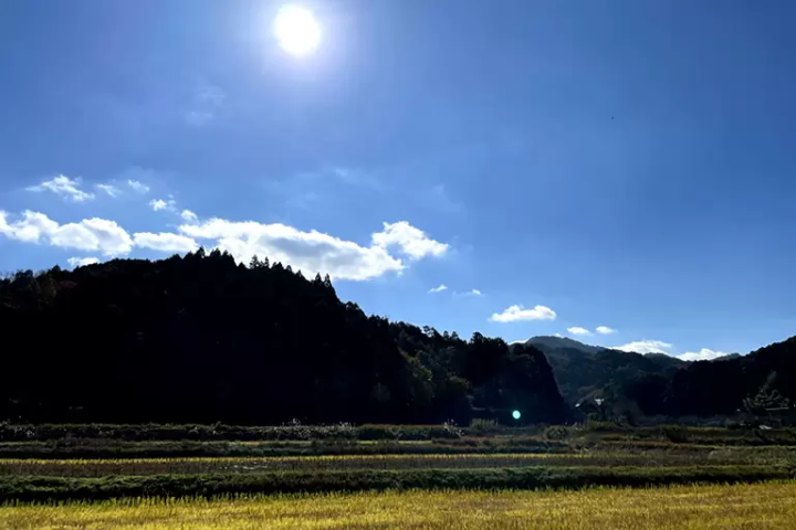 【효고】단바의 일품, 사슴 고기, 멧돼지 고기(보단 냄비)를 즐길 수 있는 지비에 요리점 4선!