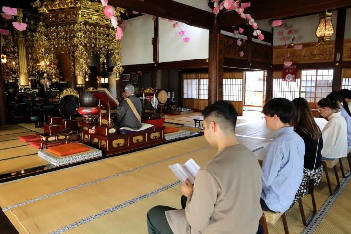 橫濱磯子體驗日本傳統文化【午餐部分】