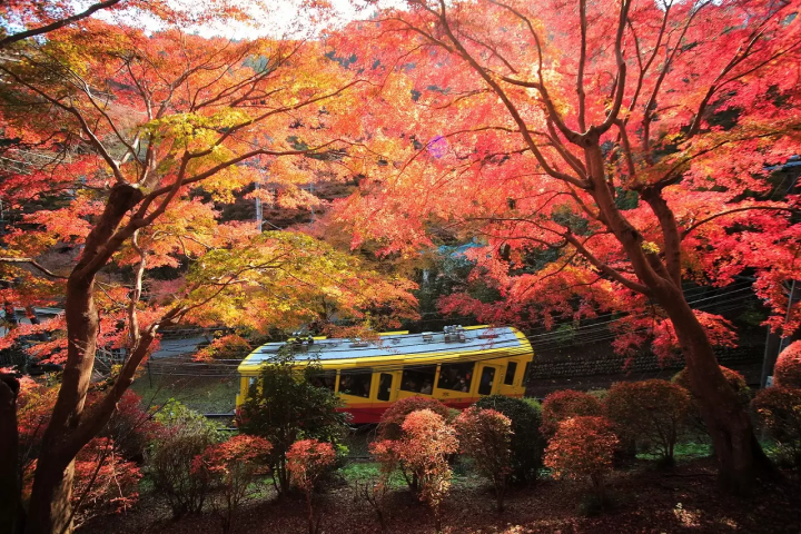 Tokyo's Mount Takao: Places to Visit, Access, Dining, and Hotels