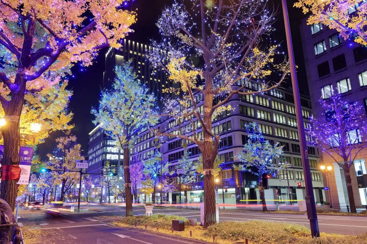 15 Enchanting Osaka Illuminations in 2023-2024