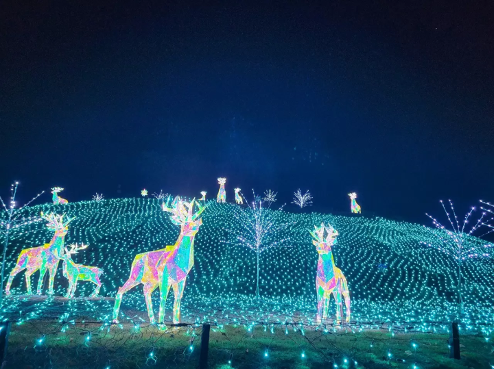 15 Enchanting Osaka Illuminations in 2023-2024