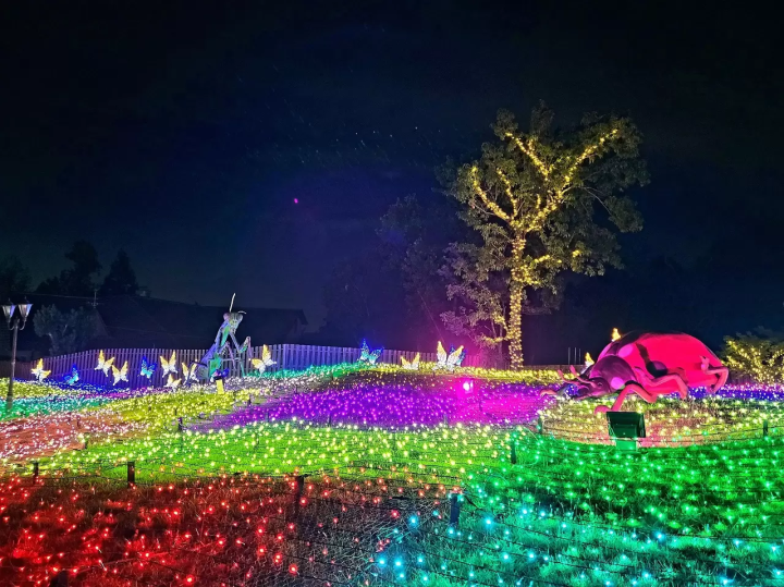 15 Enchanting Osaka Illuminations in 2023-2024